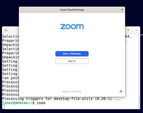 Zoom Client Linux 的图像结果