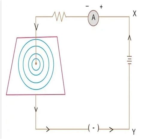 with the help of labelled diagram, describe an acti-vity to illustrate ...