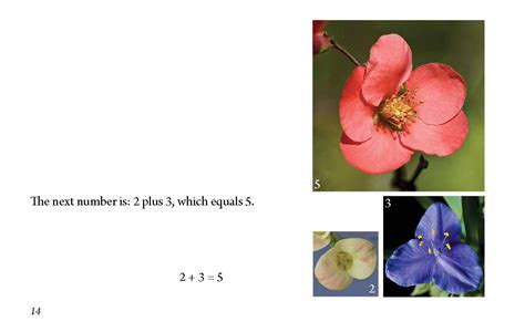 Image result for Mathematical Patterns