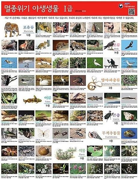 Constructor Example Program in Java 的图像结果