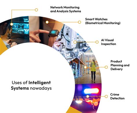 Example of Intelligent System 的图像结果