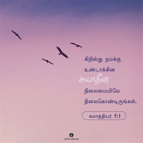 இயேசுவே பதில் | நமது அனுதின மன்னா Tamil Our Daily Bread