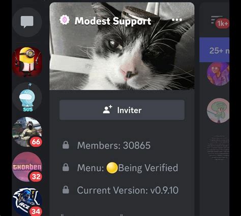 Kiddions Tutorial 的图像结果