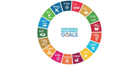 Barring the growing Inequality in the country SDG Report 2024 presents ...
