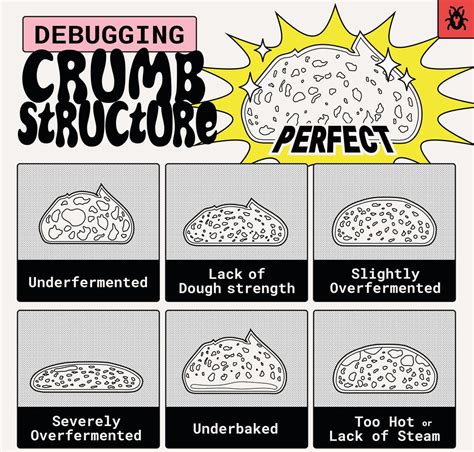 Made this graphic to visualise different crumb structures (updated) : r ...