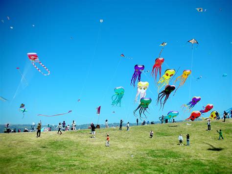 Free photo: kite flying - Air, Blue, Fly - Free Download - Jooinn