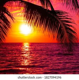 Image result for Sunset Climb O2