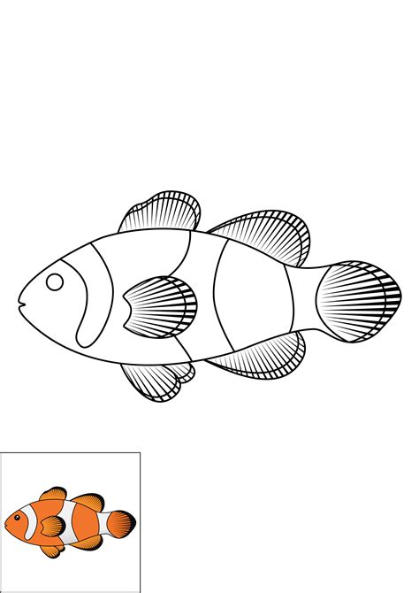 How to Draw A Clownfish Step by Step