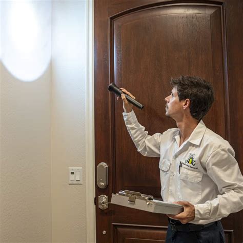 Image result for Termite Update