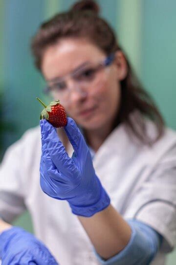 Chemist with medical glasses looking at strawberry injected with ...