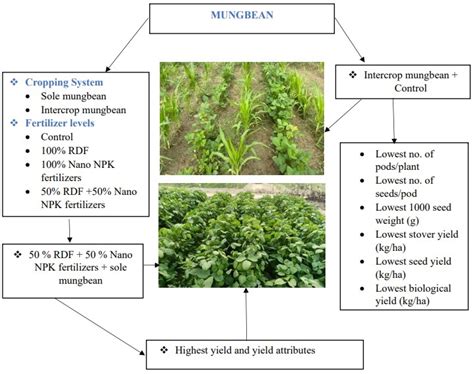 Performance of mung bean as influenced by different levels of ...