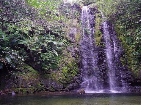 THE 10 BEST Places to Visit in Ogimi-son (2026)
