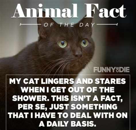 Crazy Animal Facts
