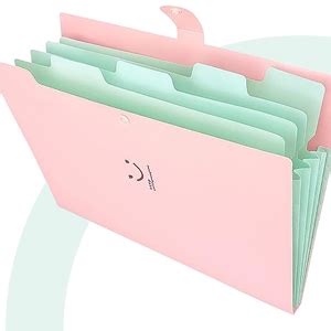 HASTHIP® 2Pcs File Folder with Labels, Accordion File Folder, Expanding ...