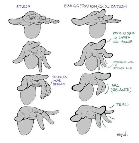 Image result for Hand Reference Drawing Tips