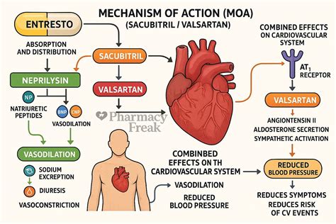 Mechanism of Action of Entresto