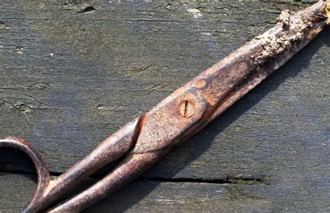 How to Clean Rust Off Scissors 的图像结果