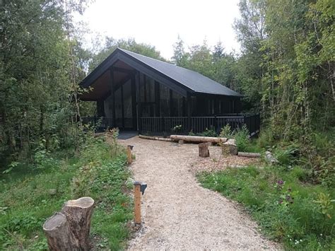 DRUMHIERNY WOODLAND HIDEAWAY (Leitrim) - Lodging Reviews & Photos ...