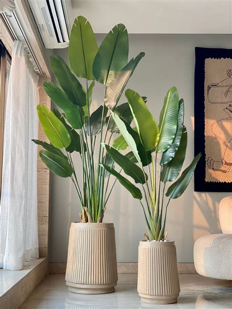 Planters – Mason Home by Amarsons - Lifestyle & Decor