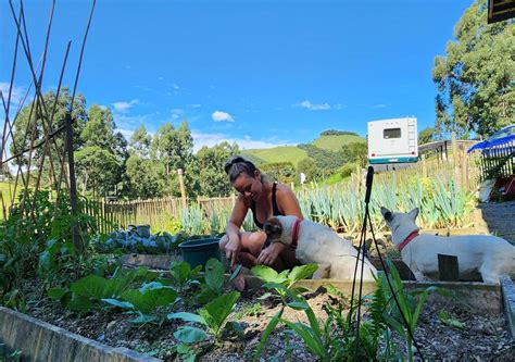 Travel 的图像结果