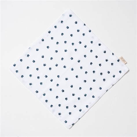 Muslin Washcloth - Little dino – Aariro