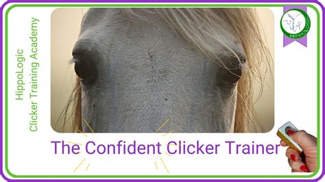 Image result for Clicker Trainer