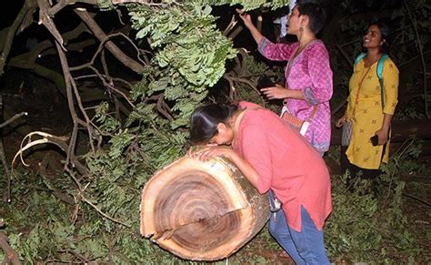 सुप्रीम कोर्ट पहुंचा आरे में पेड़ों की कटाई का मामला, आज होगी सुनवाई ...