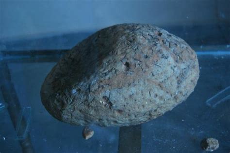 Ghughwa Fossil National Park (Dindori) - 2021 What to Know Before You ...