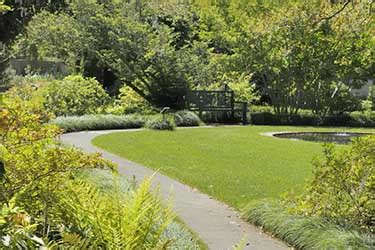 New ‘Walk With Tidelands Health’ program coming to Brookgreen Gardens ...