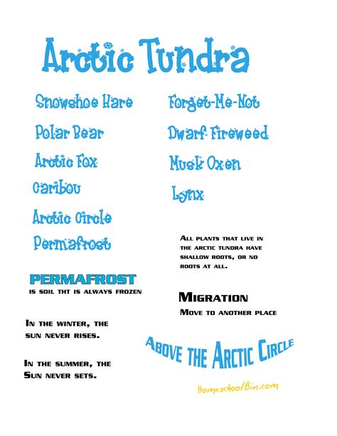 Tundra Animals Names