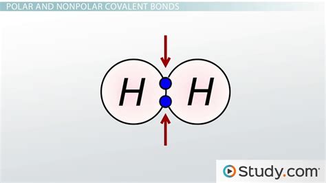 Polar Covalent Compounds Examples 的图像结果