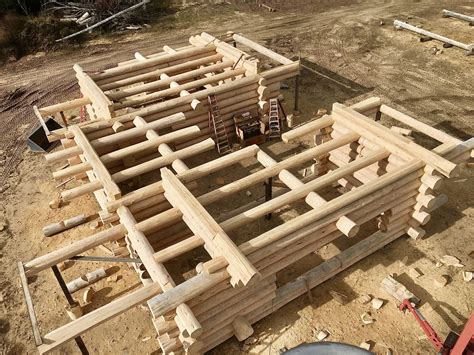Log Cabin Building Process 的图像结果