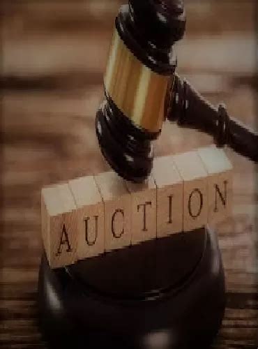 SOFIA- Finance Club at GIM | Learning Focused Student Clubs