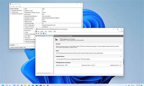 Image result for Windows 11 Boot Options