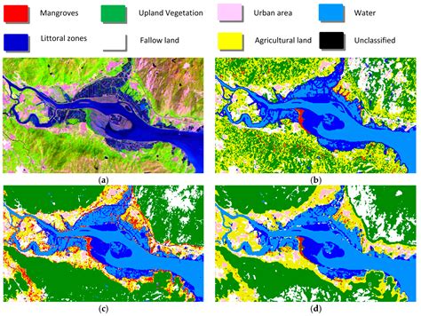 Multi-Feature Joint Sparse Model for the Classification of Mangrove ...