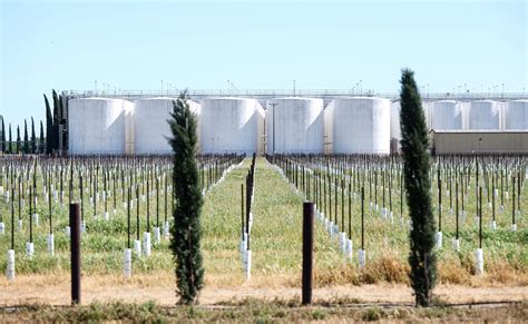 Bronco Wine Co. near Ceres CA celebrates 50th year | Modesto Bee