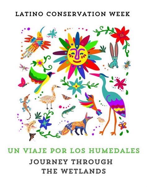 “Un Viaje Por Los Humedales” / “Journey Through the Wetlands” - Latino ...