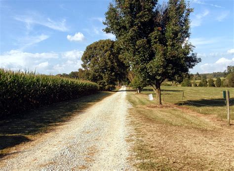 Food Gratitude: Make it a Fall Family Tradition