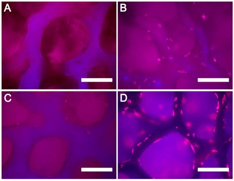 Comparison of Low and High Temperature Sintering for Processing of ...