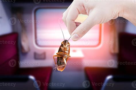 Inside a Cockroach 的图像结果