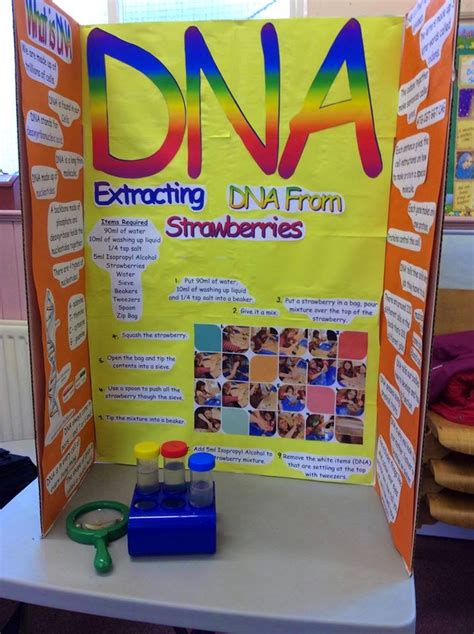 Water Science Project 的图像结果