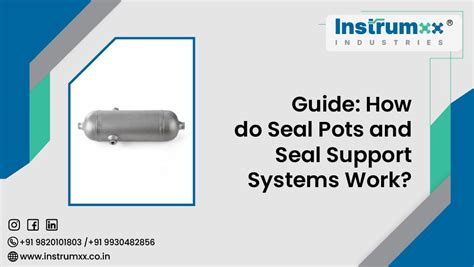 Guide: How do Seal Pots and Seal Support Systems Work?