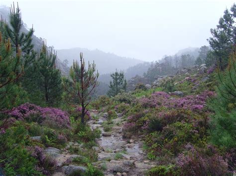 Best Time to See Peneda Geres National Park in Portugal 2024 - Rove.me
