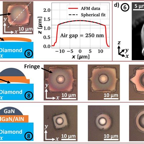 Image result for AFM Explained Microscope