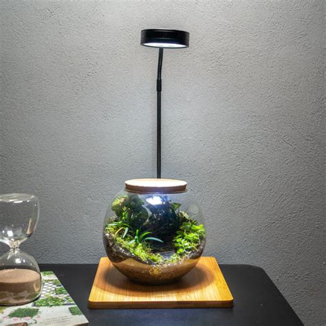 Terrarium Accessories by ByTheLeaf – bytheleaf