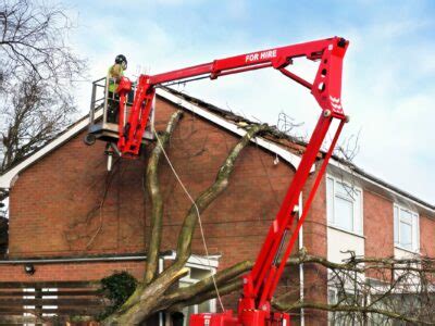 Image result for Remote Control Tree Removal