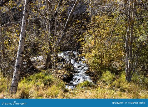 Pecos River Canyon State Park in New Mexico Stock Image - Image of ...