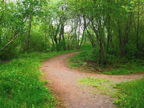 Path 的图像结果