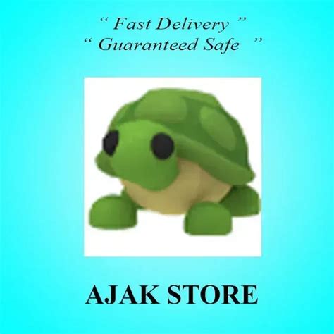 Image result for Roblox Turtle Shell