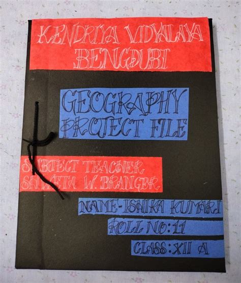 Image result for Geography Project File